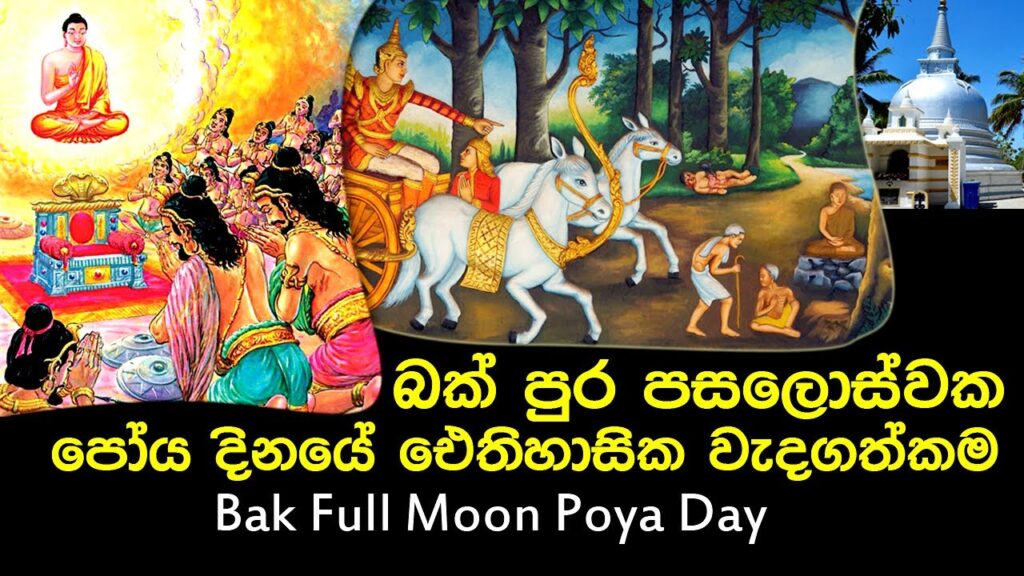 Today is the Bak Full Moon Poya Day Buzzer