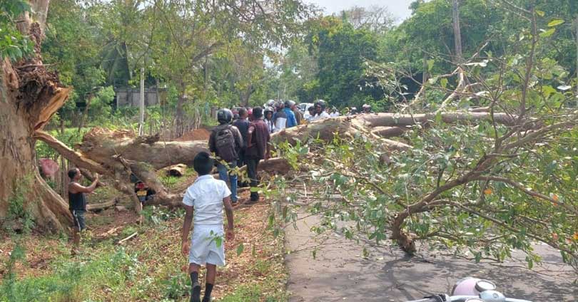 Cyclone 'Mocha' turned into a hurricane - Buzzer