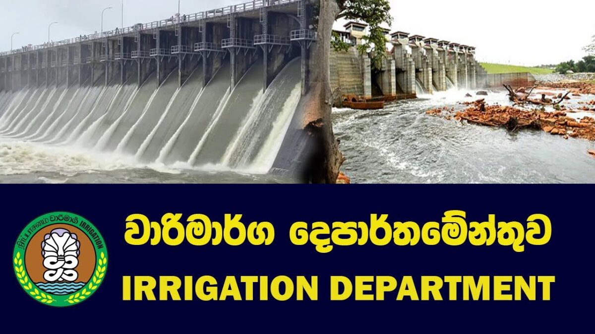 Special Notice from the Irrigation Department Buzzer