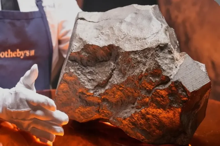 Largest piece of Mars on Earth—now up for auction at New York