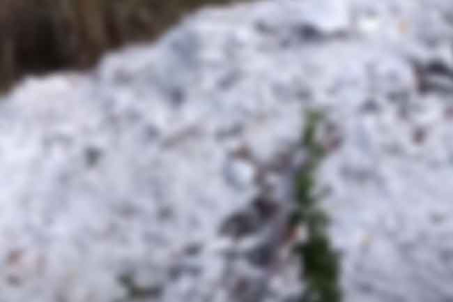 Another stock of chemicals used in manufacturing ‘Ice’ found in Kandana