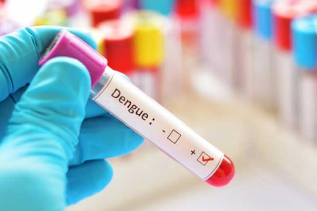 Nearly 37,000 dengue cases reported thus far in 2026