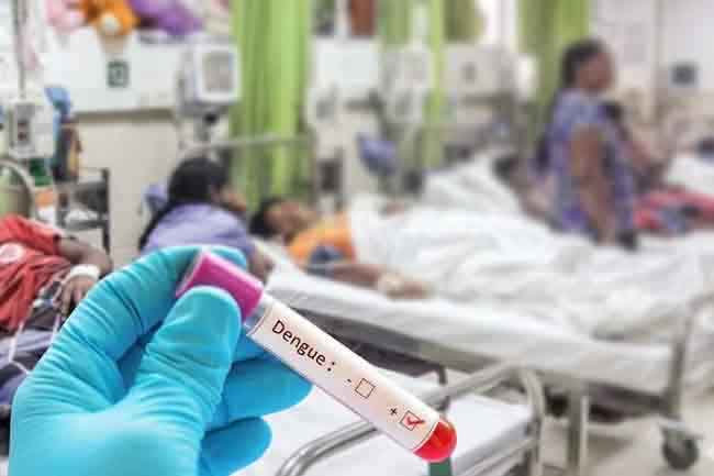 Sri Lanka records over 47,000 dengue cases and 29 deaths so far this year