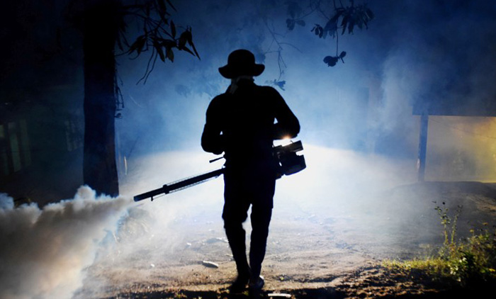 Three-day special dengue control programme launched across 12 districts