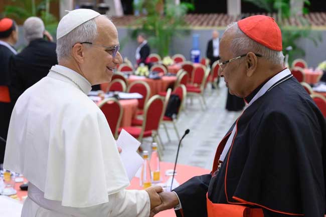 Cardinal Malcolm Ranjith attends Pope Leo XIV’s Extraordinary Consistory at the Vatican