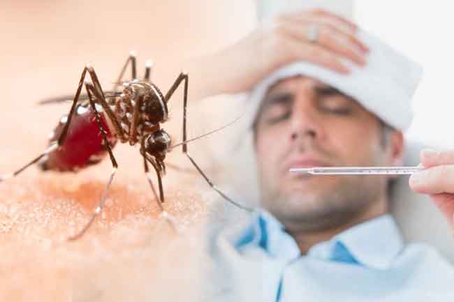 Dengue hyper-epidemic still not under control, PHI Union says