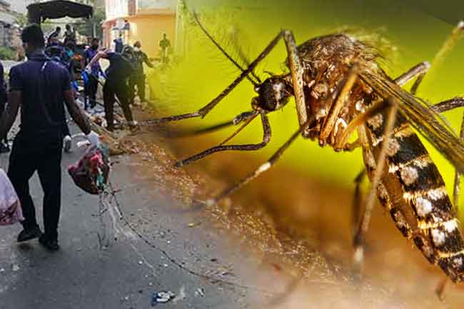 Dengue risk to persist for next three weeks, Health Minister warns